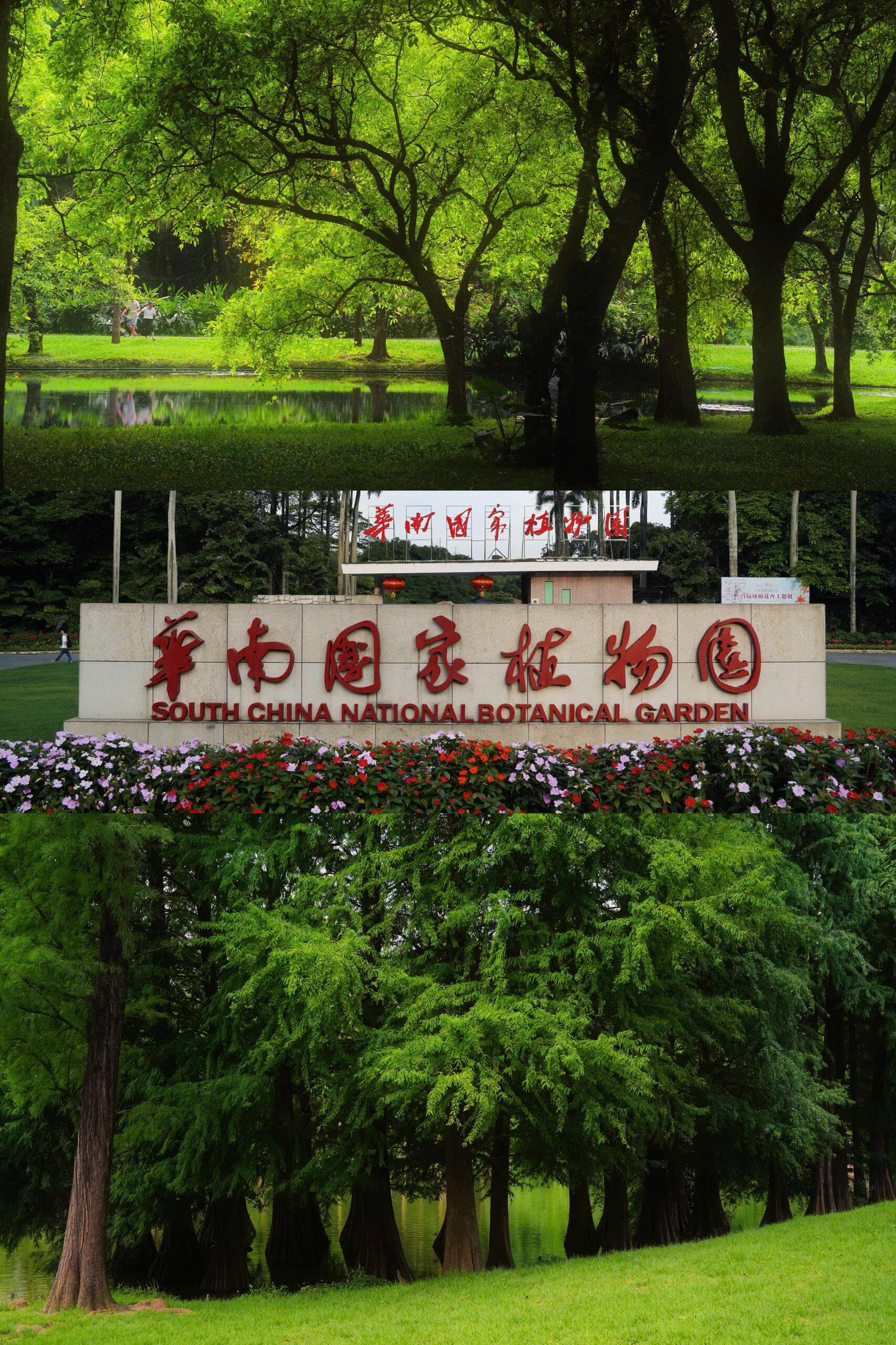 Khuôn viên đại học tại Trung Quốc